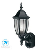 Alexandria 17.3 in. Black Farmhouse 180-Degree Motion Sensor Outdoor 1-Light Wall Sconce