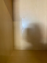 Hampton 18 in. W x 24 in. D x 84 in. H Assembled Pantry Cabinet in Satin White