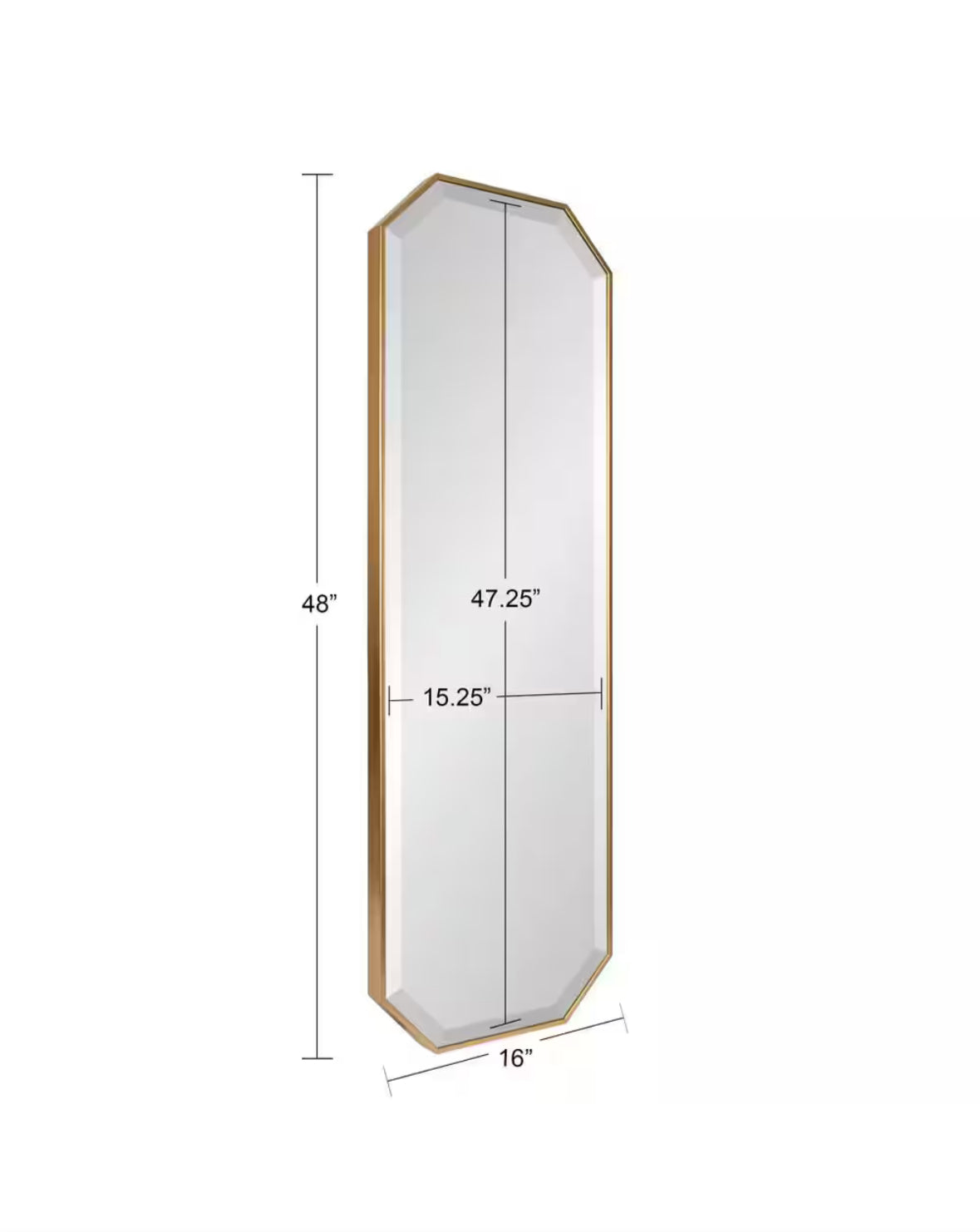 Rhodes 48 in. x 16 in. Classic Octagon Framed Gold Wall Accent Mirror