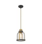 1-Light Bronze and Brass Mini Pendant with Clear Seedy Glass