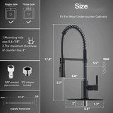 Modern Spring Neck Faucet with Pull-Down Sprayer