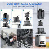 200 W 24 oz. Cold Press Juicer Machine, 4.35 in. Wide Feed Chute, Slow Masticating Juicer for Whole Fruits in Silver