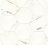 Genesis White 19 in. x 22 in. Matte Porcelain Marble Look Floor and Wall Tile (12.9 sq. ft./Case)