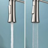 Modern Spring Neck Faucet with Pull-Down Sprayer