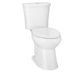 Power Flush 12 in. Rough in 2-Piece 0.95 GPF/1.28 GPF Dual Flush Elongated Toilet in White, Seat Included