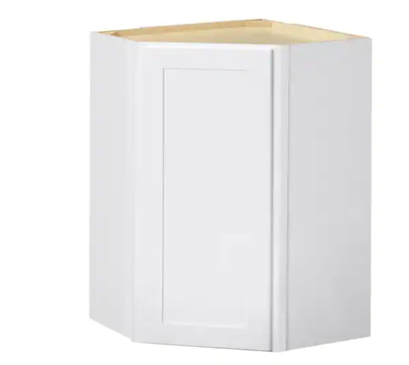 Avondale Shaker Alpine White Ready to Assemble Plywood 24 in Wall Corner Kitchen Cabinet (24 in W x 30 in H x 24 in D)