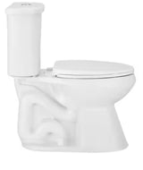 Power Flush 12 in. Rough in 2-Piece 0.95 GPF/1.28 GPF Dual Flush Elongated Toilet in White with Slow-Close Seat Included