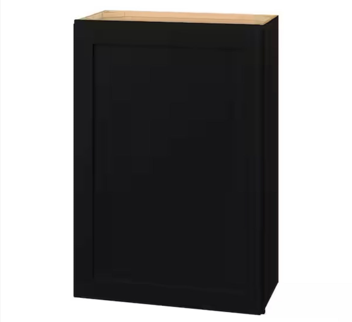 Avondale 24 in. W x 12 in. D x 36 in. H Ready to Assemble Plywood Shaker Wall Kitchen Cabinet in Raven Black