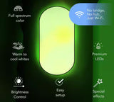 26 in. Oval Capsule Smart Black Multi-Color WiFi Selectable LED Flush Mount Ceiling Light Works Alexa/Hey Google/HomeKit