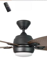 Daniel Island 52 in. White Color Changing Integrated LED Outdoor Matte Black Ceiling Fan with Light Kit and Remote