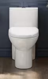 1-Piece 1.1/1.6 GPF Dual Flush Compact Elongated WaterSense Toilet in White Soft Close Seat Included