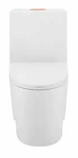 St. Tropez 1-piece 1.1/1.6 GPF Dual Vortex Flush Elongated Toilet in Glossy White with Rose Gold Hardware, Seat Included