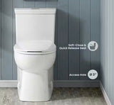 Classe 1-Piece 1.1 GPF/1.6 GPF Dual Flush Elongated Toilet in White, Seat Included