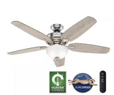 Channing 54 in. Hunter Express Indoor Brushed Nickel Ceiling Fan with Remote and Light Kit Included
