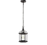 Wickford 1-Light Weathered Bronze Outdoor Pendant Light Fixture with Clear Beveled Glass