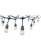 12-Light 24 ft. Indoor/Outdoor String Light with S14 Single Filament LED Bulbs