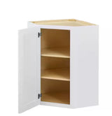 Avondale Shaker Alpine White Ready to Assemble Plywood 24 in Wall Corner Kitchen Cabinet (24 in W x 30 in H x 24 in D)