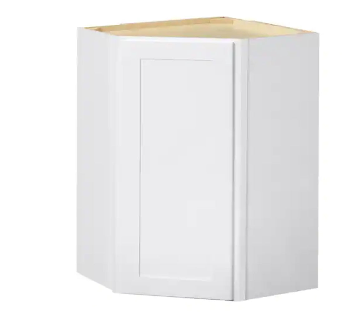 Avondale Shaker Alpine White Ready to Assemble Plywood 24 in Wall Corner Kitchen Cabinet (24 in W x 30 in H x 24 in D)