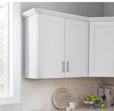 Avondale 30 in. W x 12 in. D x 42 in. H Ready to Assemble Plywood Shaker Wall Kitchen Cabinet in Alpine White