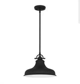 Holly 1-Light Earth Black Pendant with Metal Shade