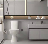 19 in. Rear Discharge Toilet 2-Piece 1.0/1.6 GPF Dual Flush Round Toilet in White, Seat Included