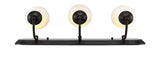 Reed 24 in. 3-Light Black Bathroom Vanity Light Fixture with Frosted Glass Shades