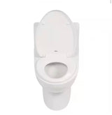 Tofino Complete 1-Piece 1.1 GPF Dual Flush Elongated Toilet in White with Slow Close Seat