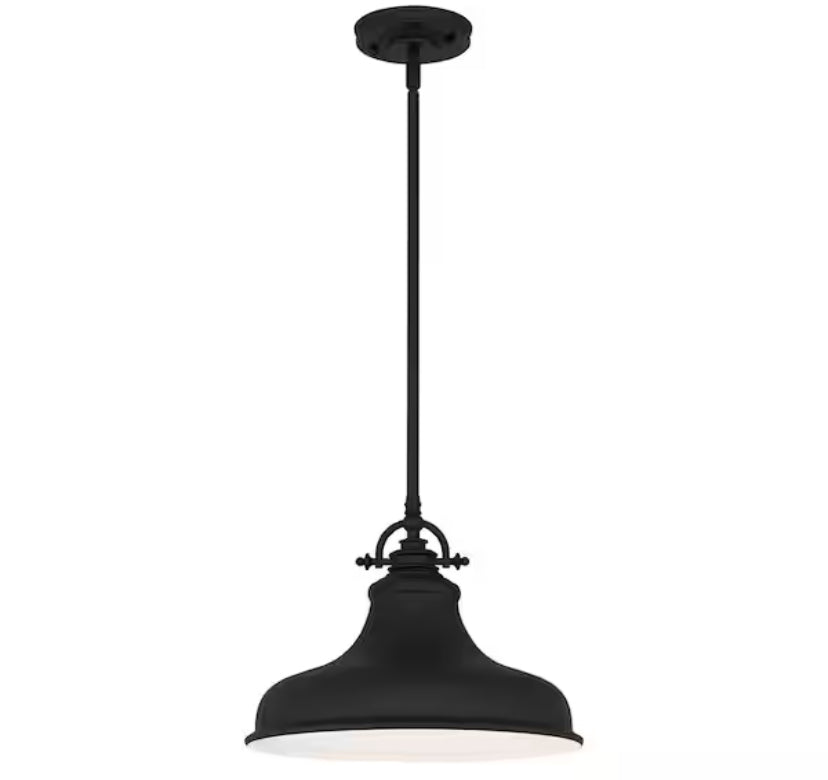 Holly 1-Light Earth Black Pendant with Metal Shade