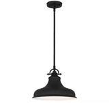 Holly 1-Light Earth Black Pendant with Metal Shade