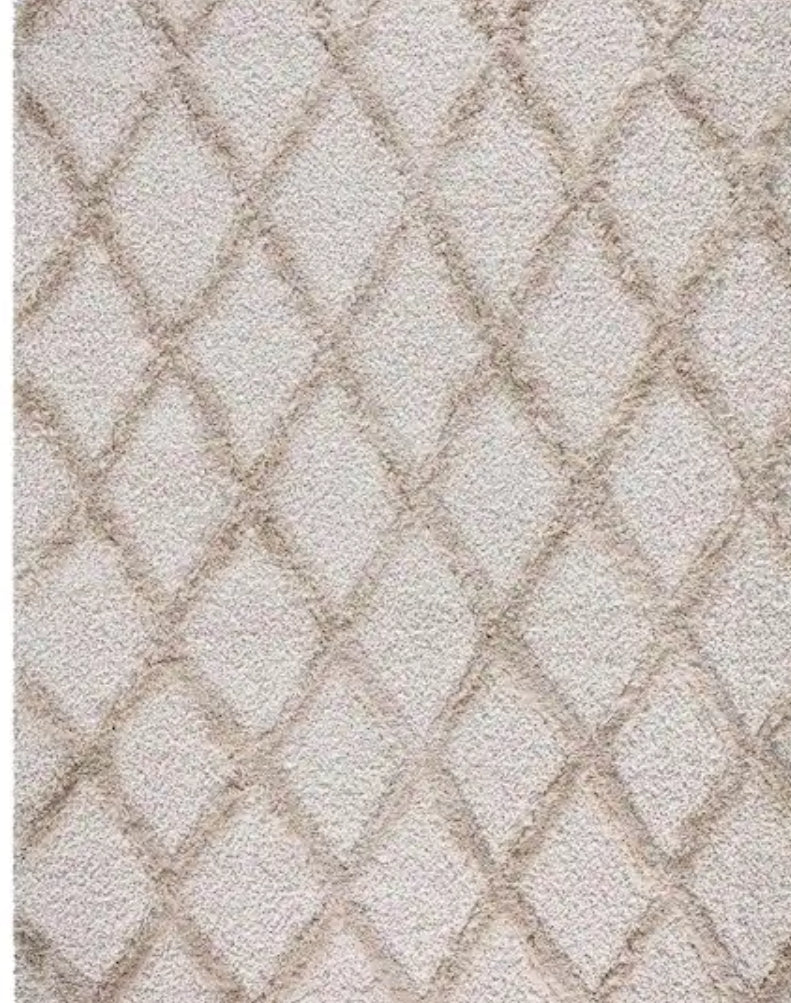 Valencia 5 ft. x 7 ft. Ivory Trellis Shag Area Rug