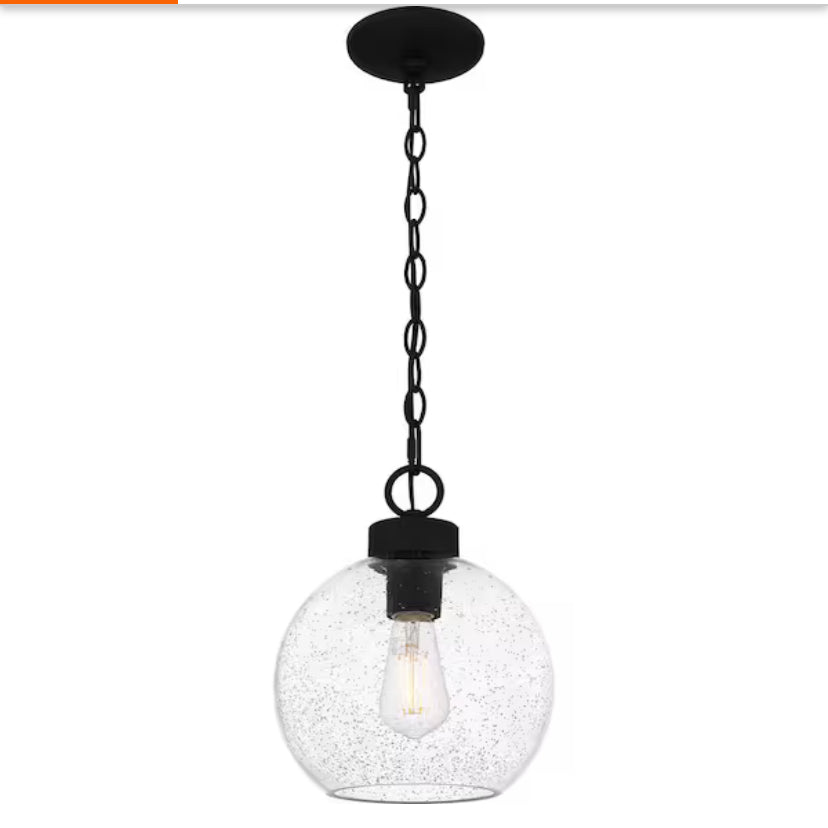 Irie 1-Light Earth Black Pendant with Clear Seedy Glass Shade