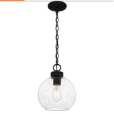 Irie 1-Light Earth Black Pendant with Clear Seedy Glass Shade