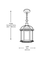 Wickford 1-Light Weathered Bronze Outdoor Pendant Light Fixture with Clear Beveled Glass