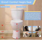 Rear Outlet 2 Piece 1/1.6 GPF Dual Flush Round Toilet in White Soft Closing Seat Included, 19 in Tall Toilet