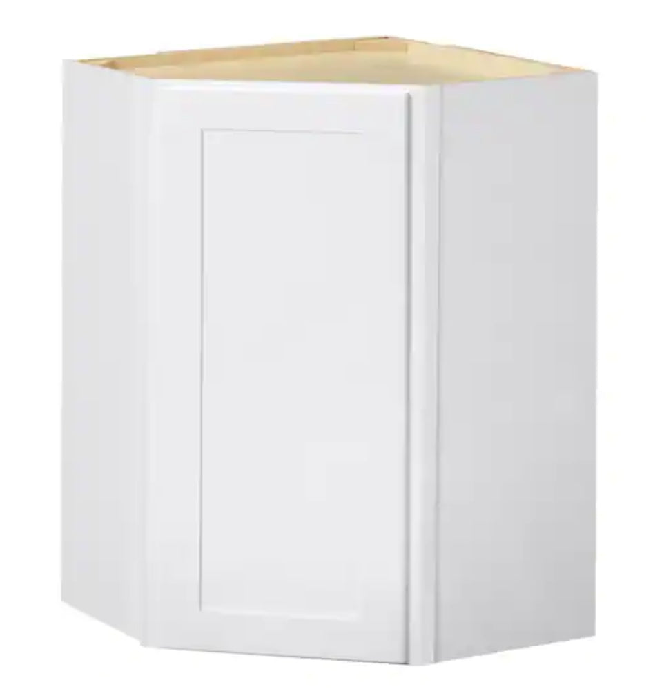 Avondale Shaker Alpine White Ready to Assemble Plywood 24 in Wall Corner Kitchen Cabinet (24 in W x 30 in H x 24 in D)