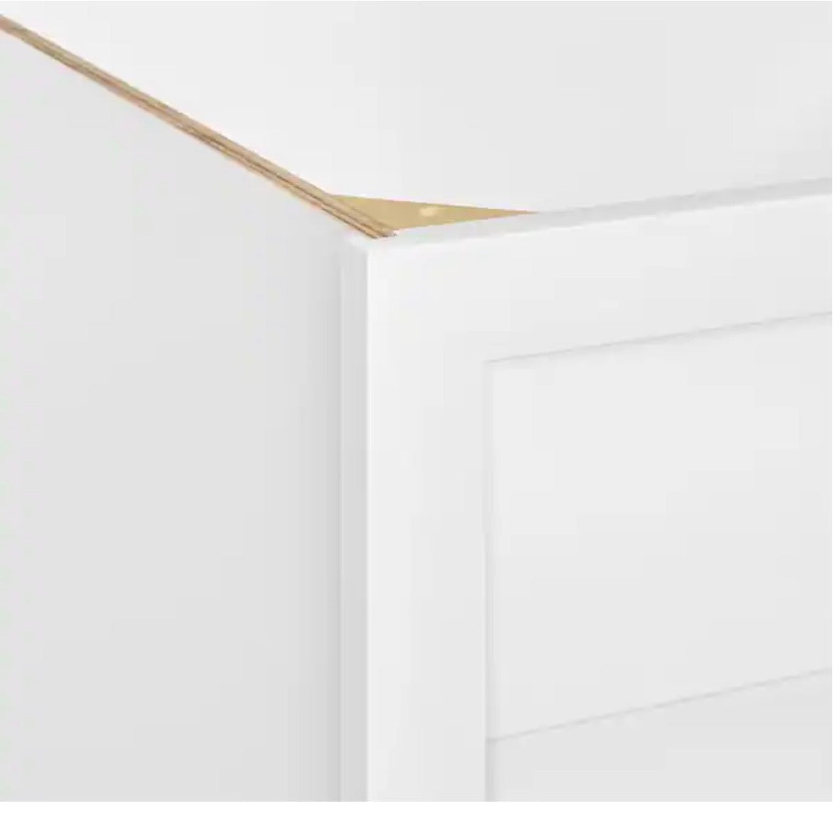 Leyton 30 in. W x 24 in. D x 34.5 in. H Ready to Assemble Plywood Slim Shaker Microwave Base Cabinet in Alpine White
