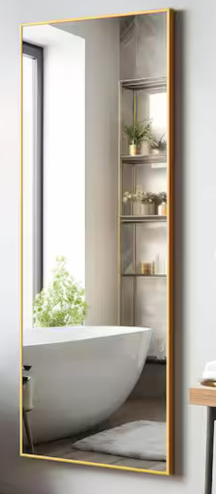 22 in. W x 47 in. H Rectangle Aluminum Alloy Gold Framed Wall Mirror