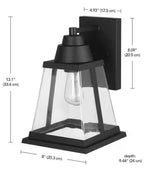 Donahue Matte Black Farmhouse Indoor/Outdoor 1-Light Wall Sconce with Clear Glass Shade