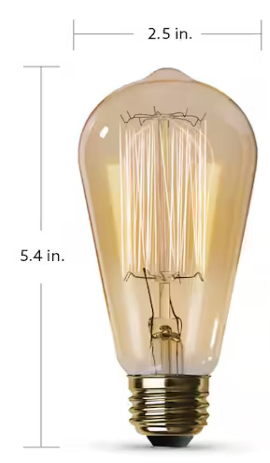 60-Watt ST19 Dimmable Cage Filament Amber Glass E26 Vintage Edison Incandescent Light Bulb, Warm White (6-Pack)