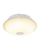 Battery Operated Motion-Activated LED Ceiling Night Light, 1 Bulb, 1-Pack