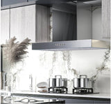 Lora 30 in. 350 CFM Convertible T-Shape Wall Mount Range Hood in Stainless Steel with Charcoal Filters and LED Lighting