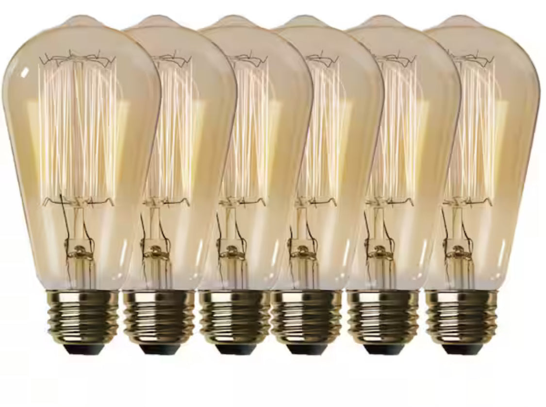 60-Watt ST19 Dimmable Cage Filament Amber Glass E26 Vintage Edison Incandescent Light Bulb, Warm White (6-Pack)