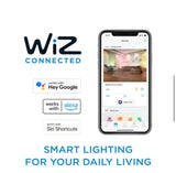 100-Watt Equivalent A21 LED Smart Wi-Fi Light Bulb Daylight (5000K) powered by WiZ with Bluetooth (1-Pack)