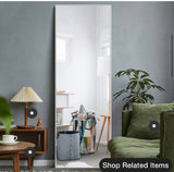 65 in. x 22 in. Classic Rectangle Aluminum Alloy Silver Framed Full-Length Mirror Floor Mirror