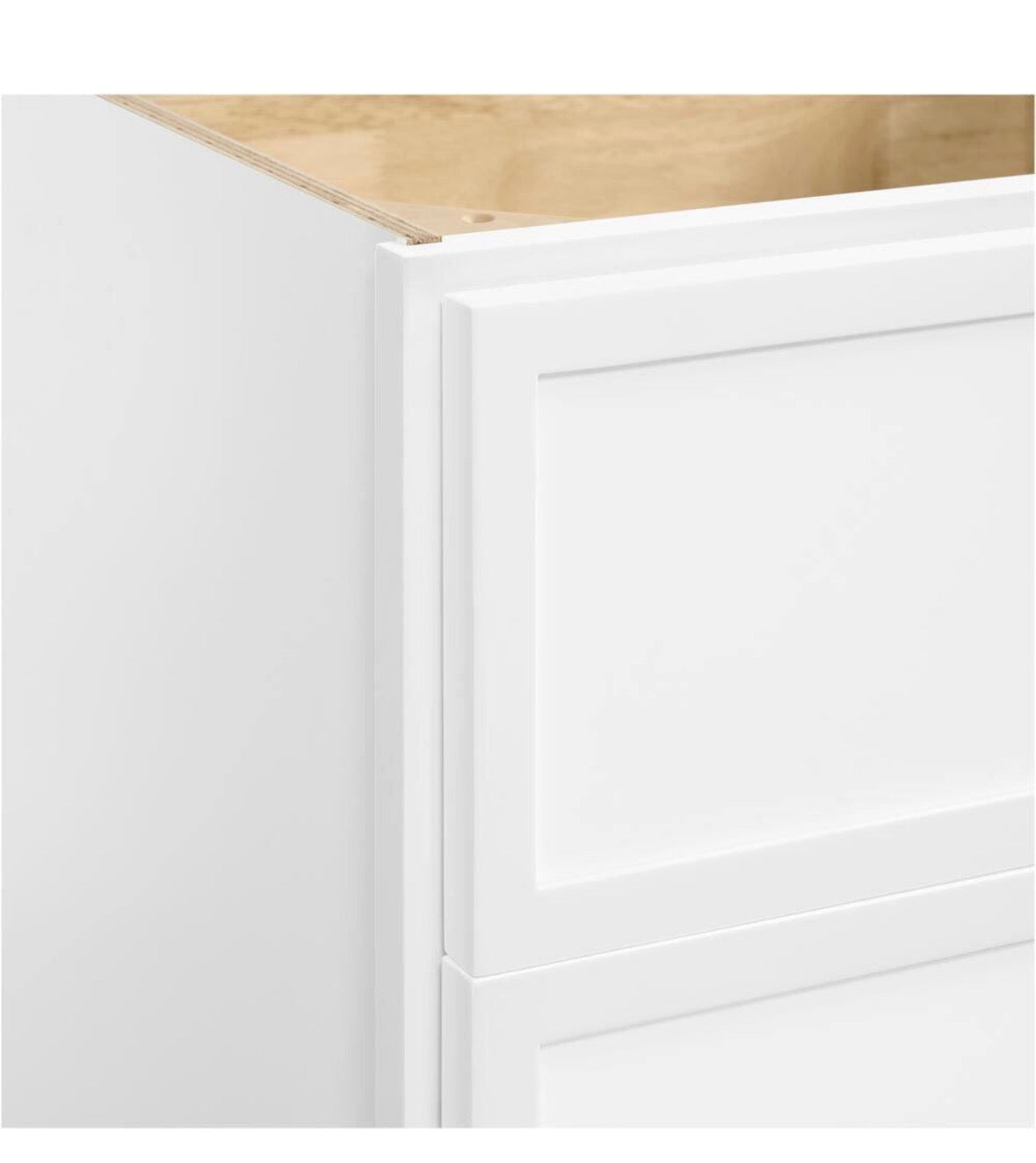 Leyton 24 in. W x 24 in. D x 34.5 in. H Ready to Assemble Plywood Slim Shaker Base Kitchen Cabinet in Alpine White