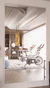 32 in. W. x 71.2 in. H Modern Rectangle Aluminum Alloy Full Length Mirror Sliver Wall Mirror/Floor Mirror