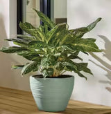 15 in. Ashton Sage High-Density Resin Planter (15 in. D x 11.7 in. H)