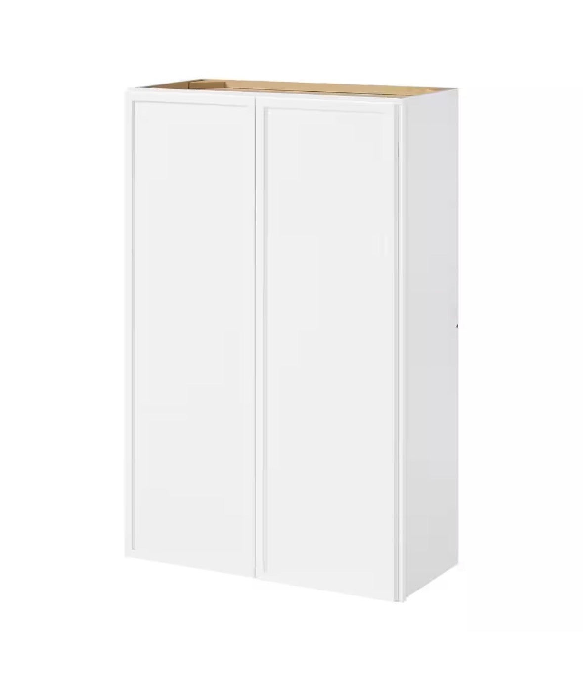 Leyton 27 in. W x 12 in. D x 42 in. H Ready to Assemble Plywood Slim Shaker Wall Kitchen Cabinet in Alpine White
