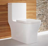 Concorde 1-Piece 0.8/1.28 GPF Dual Flush Square Toilet in White