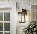 Barrington 14 in. 1-Light Golden Bronze Hardwired Outdoor Wall Light Lantern Sconce with Clear Water Glass